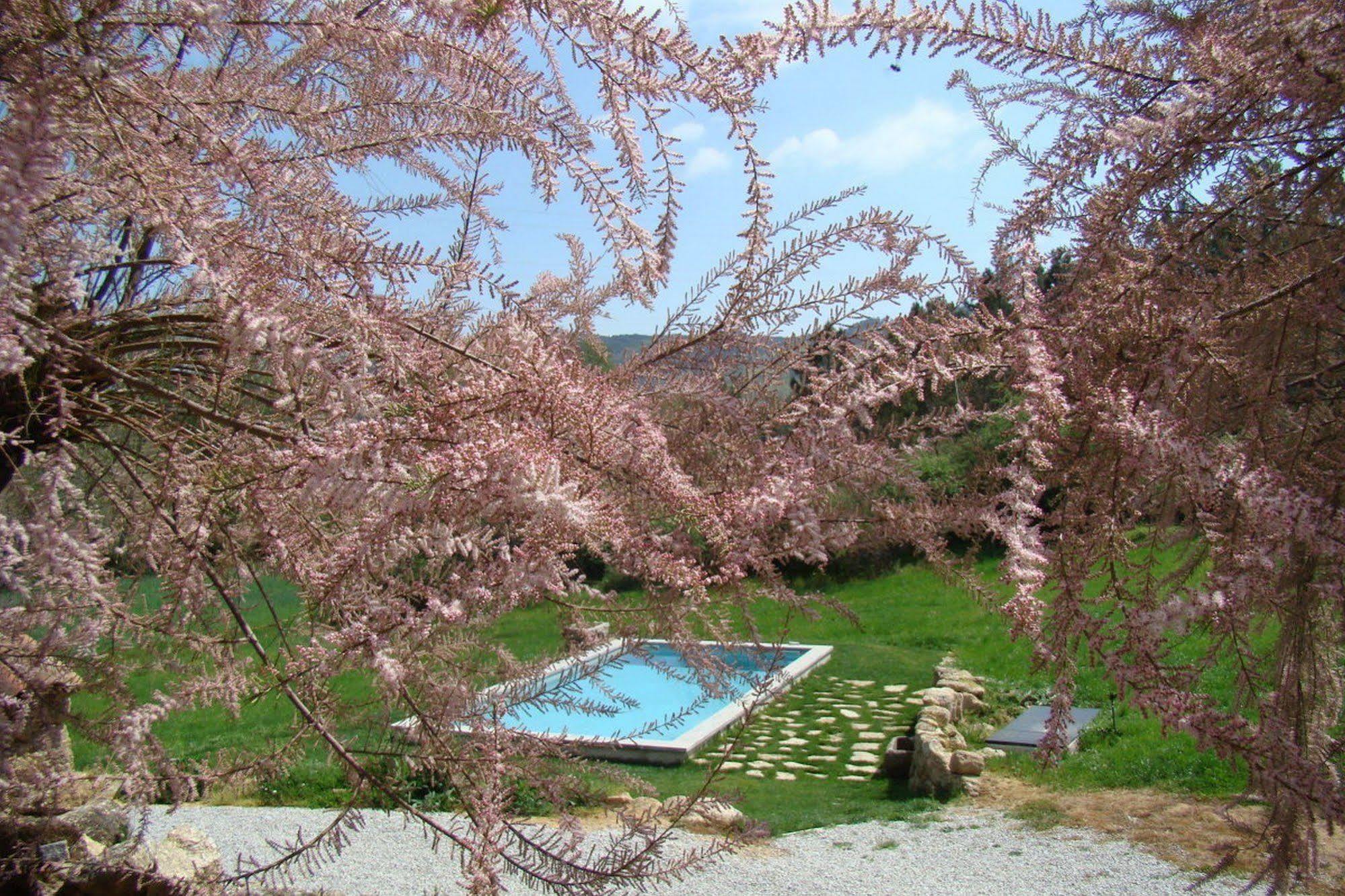 Quinta De Seves Guest House Covilha Exterior photo